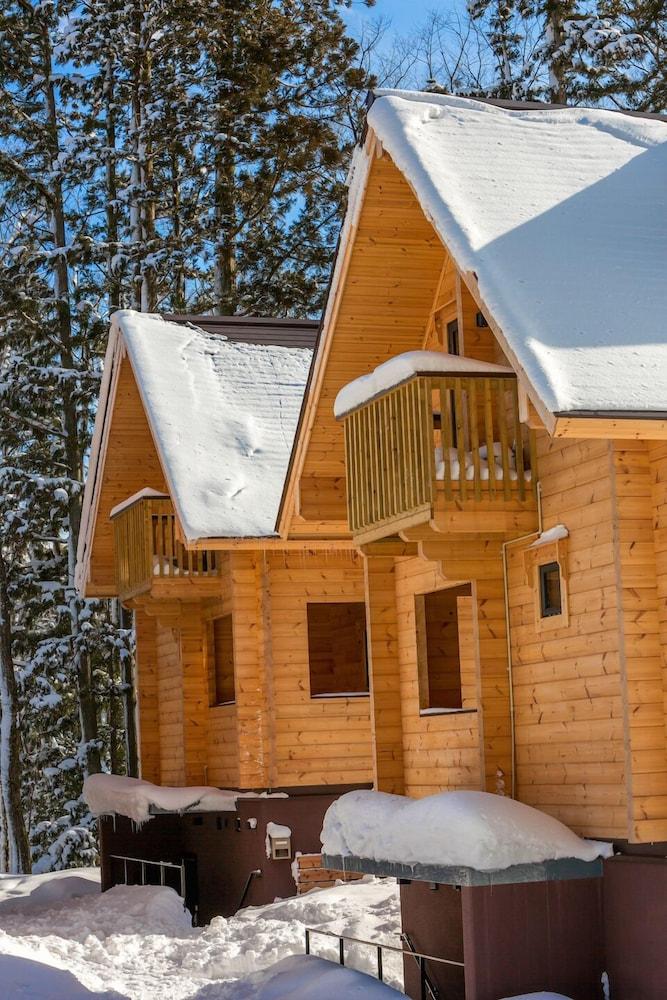 Wadano Woods By Hhg Villa Hakuba Bagian luar foto